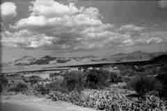 ���� ������ ��� ��� ����